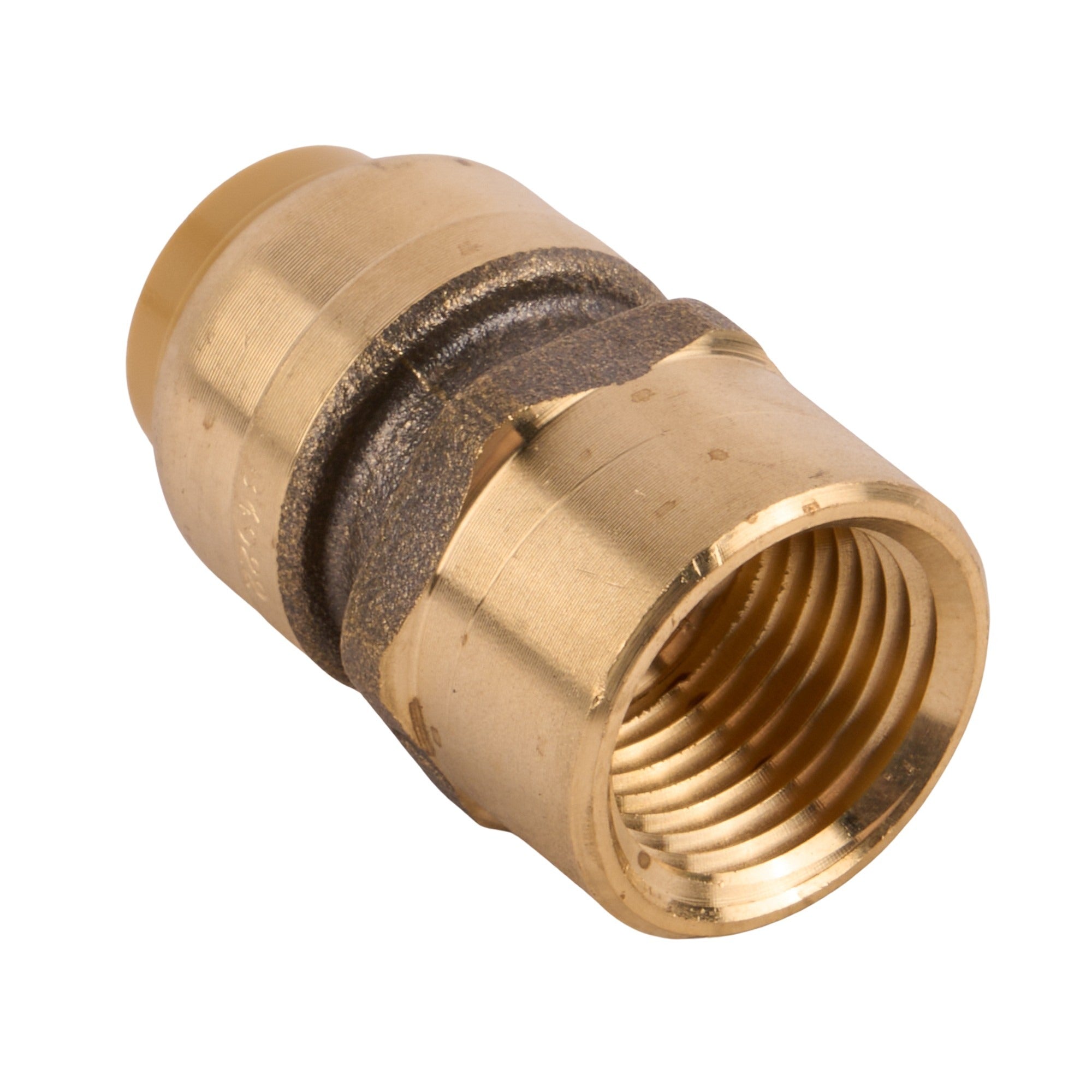 Sharkbite x Female Adapter (Lead Free) 1/2"